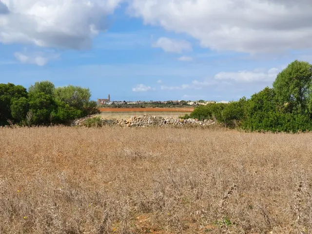 Terreno rústico de más de 18.500 m2 cerca de Ses Salines - foto 3