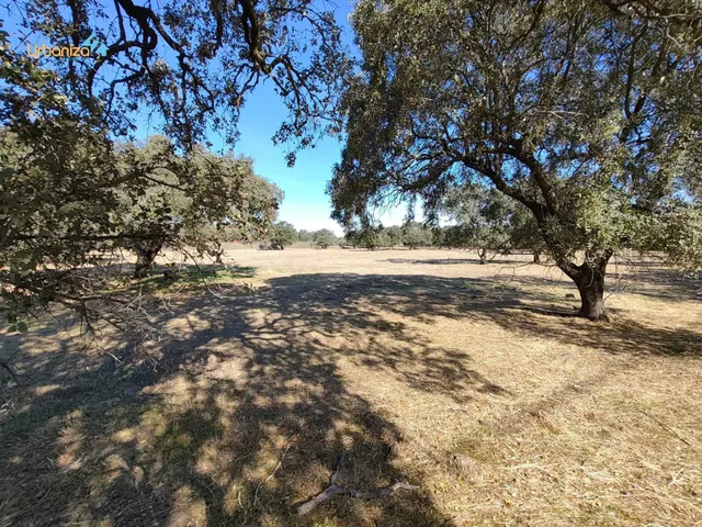 PARCELA EN TRES ARROYOS TOTALMENTE VALLADA CON POZO, PORTERA - foto 5
