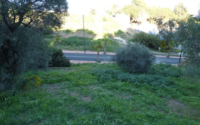 Parcela en venta - Centro — 6