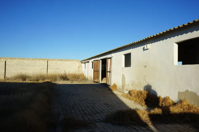 Local comercial 975m² en alquiler - Comunidad valenciana - foto 4