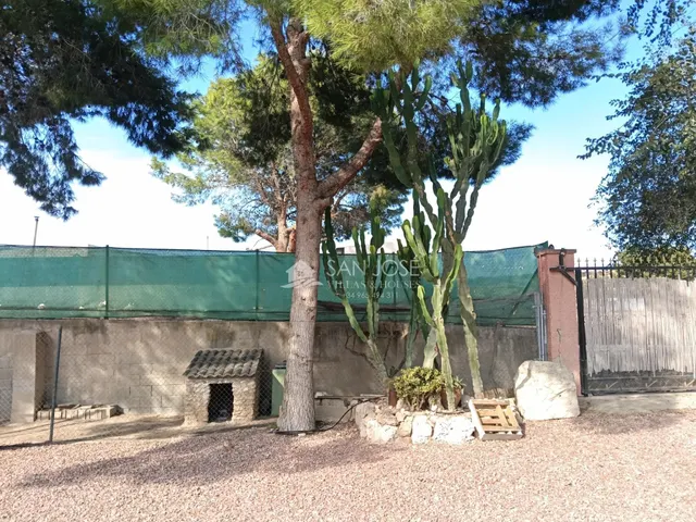 SE VENDE CHALET EN BUEN ESTADO EN MONFORTE DEL CID EN LA ZONA DEL FONT DEL LLOP — 25