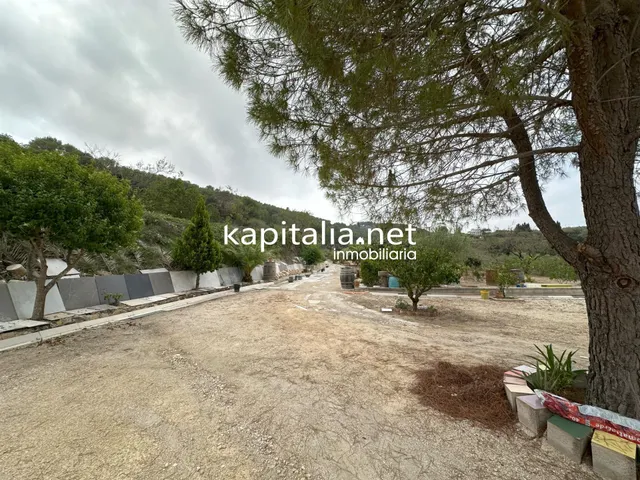 PARCELA CON CASITA A LA VENTA EN ONTINYENT — 9