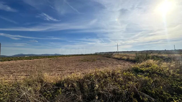 SE VENDE PARCELA EN PINOSO (ALICANTE) - foto 4