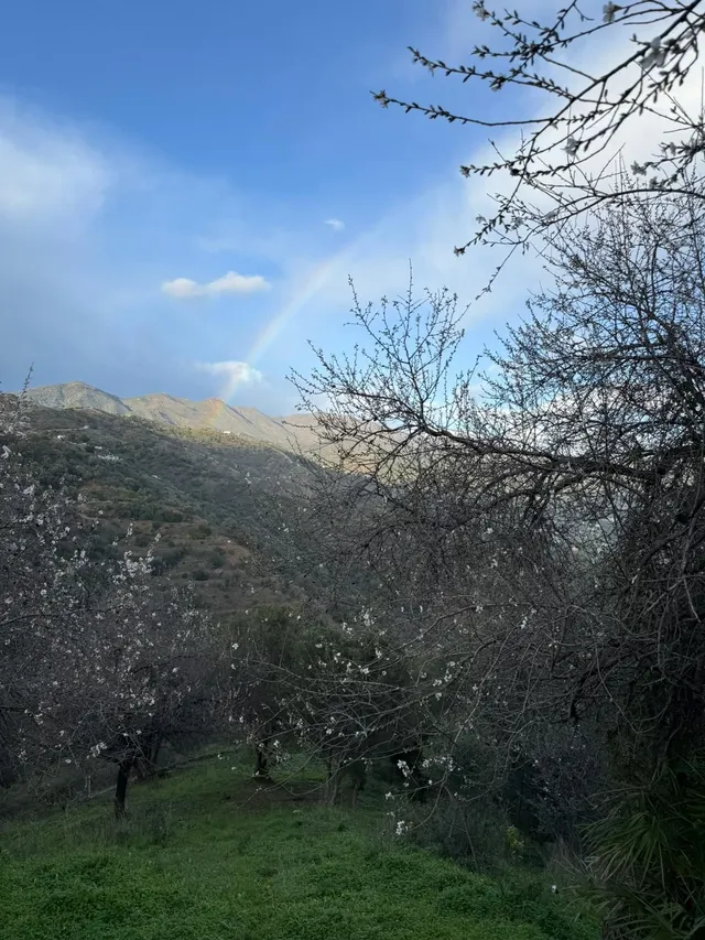 Finca rústica en zona alta de Marbella con vistas y servicios — 11