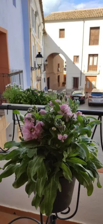 Casa 4 habitaciones 220m² en venta - Comunidad valenciana — 14