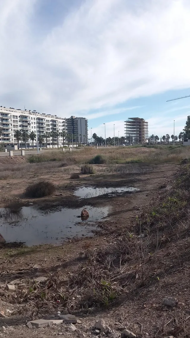 Parcela urbana de uso residencial en sector Belcaire Norte,  - foto 2