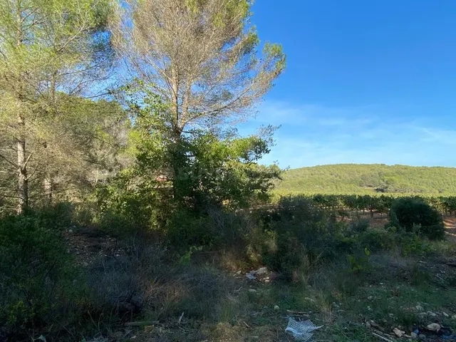 OPORTUNIDAD ENORME TERRENO EN VENTA POR 150.000€