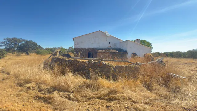 FINCA DE ENCINAR EN EL CERRO DEL ANDÉVALO — 8