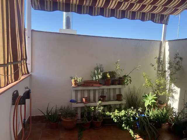 Casa independiente en CAÑERO. Dos plantas. Patio, terraza y buhardilla! — 32