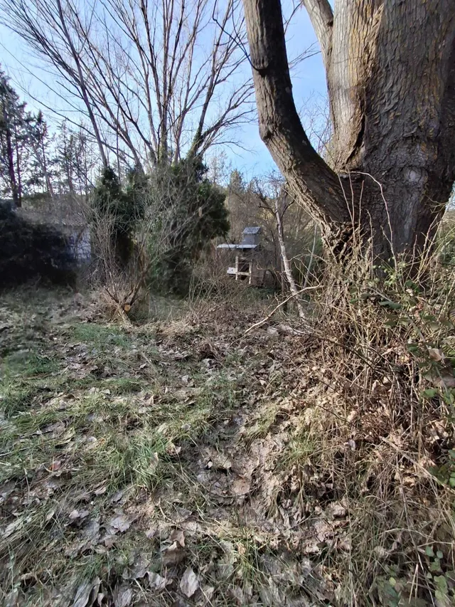 Finca con vivienda para venta — 9