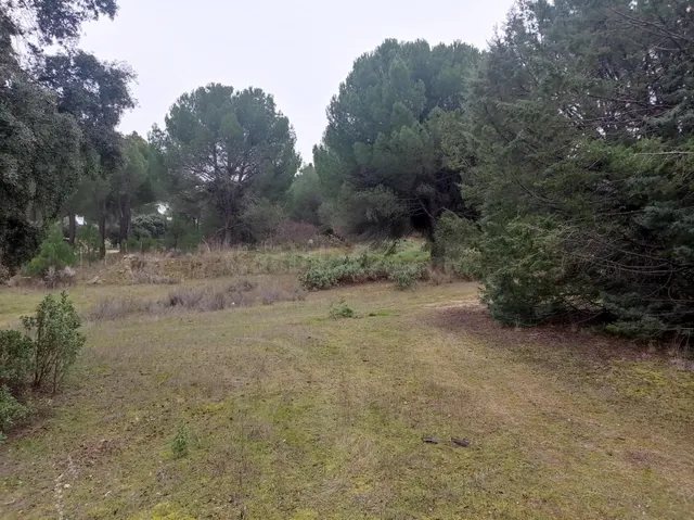 ZONA DEPORTIVA EN COSTA DE MADRID. 37.628 M2 - foto 5