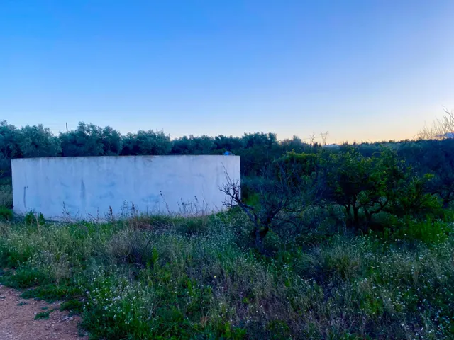 Encantador terreno con agua y luz de 1,2 ha — 6