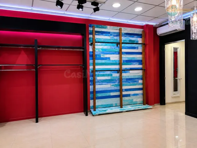 BAJO COMERCIAL EN LA ISLA - foto 5