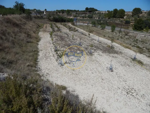 TERRENO EN PRODUCCIÓN CON PEQUEÑA CONSTRUCCIÓN EN PALOMAR(VALENCIA) — 2