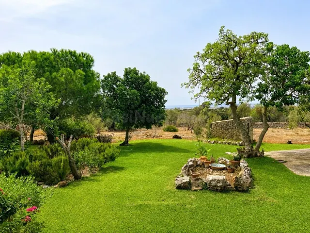 Finca mallorquina con más de 6.000 m² en Pòrtol — 9