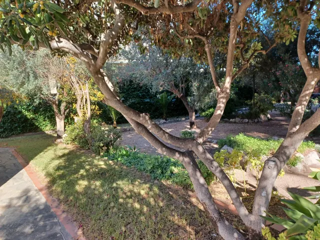 Casa única a la venta en la zona Pla de Sant Pere Les Salines Cubelles 1.170 m2 de parcela y POSIBIL — 41