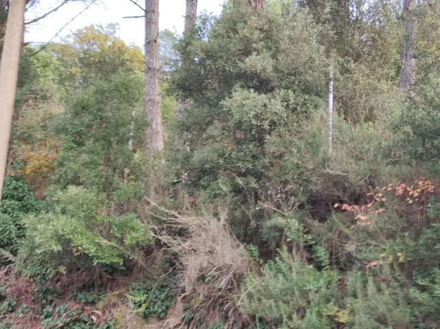 TERRENO EN VENTA EN LA URBANIZACION MASIA DEL SOLÀ (FINCA RUSTICA) MONISTROL DE CALDERS — 29