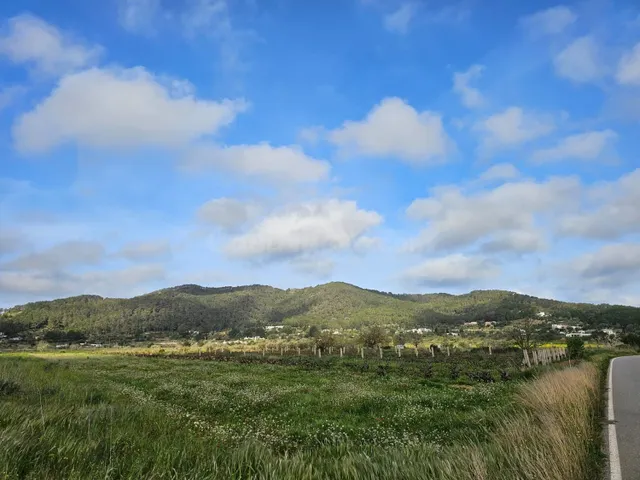Terreno rural en venta - Santa Agnés de Corona - Sant Mateu  - foto 5