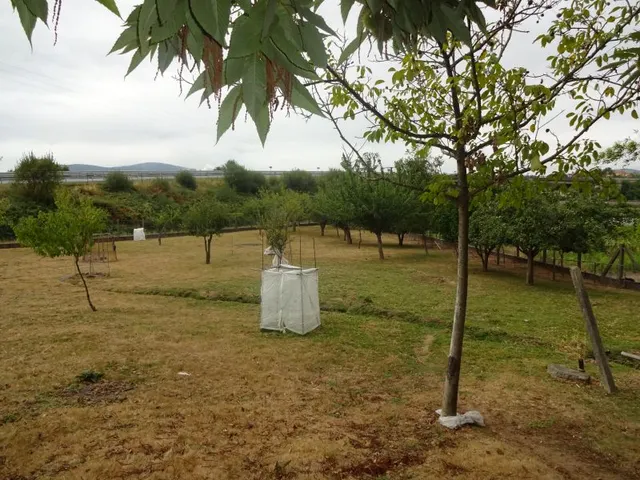 SE VENDE CASA SEÑORIAL PAREADA DE PIEDRA REFORMADA Y EN PERFECTO ESTADO EN PADRON — 45