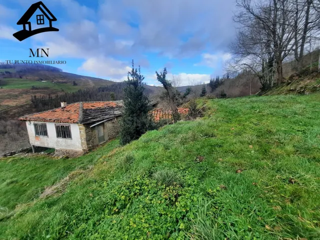 VENTA DE FINCAS Y CONJUNTO DE TRES CABAÑAS PASIEGAS EN SAN P - foto 3
