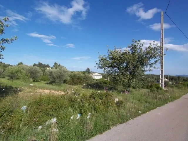 Terreno rústico de unos 8000 m2 en la Fuente de la Virgen .  - foto 4