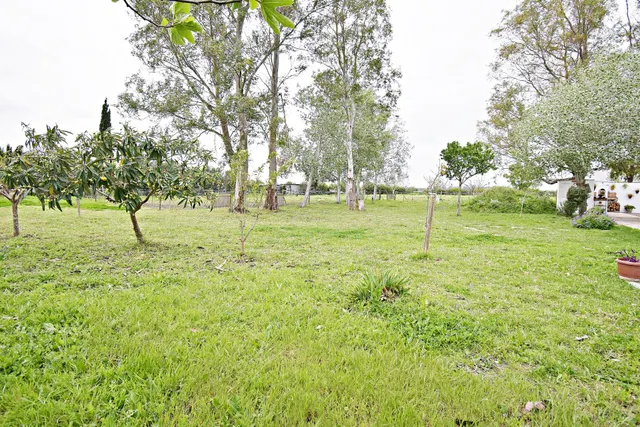¡¡TERRENO DE 10.000M2 EN LAS PACHECAS!! (ZONA NO INUNDABLE) — 13