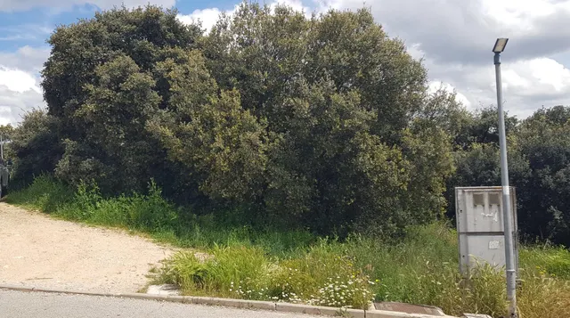 PARCELA DE ESQUINA EN PIOZ — 3
