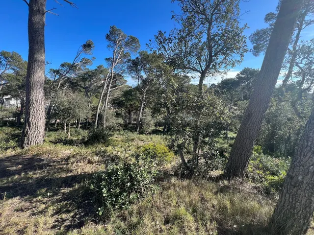 Terreno urbanizable 363m² en venta - Llafranc - foto 3