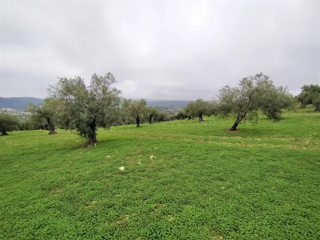 Espectacular finca en la localidad de Alozaina — 2
