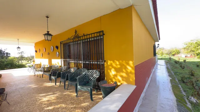 FINCA RUSTICA DE 32.000 M2 EN GIBRALEÓN CON CASA — 29