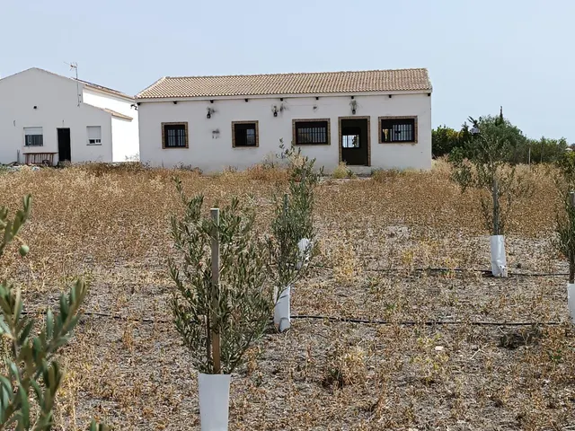 VENTA PARCELA CON CASA VILLAMARTIN - foto 4