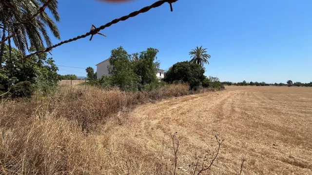 Finca rústica mallorquina con gran potencial para reformar e - foto 5