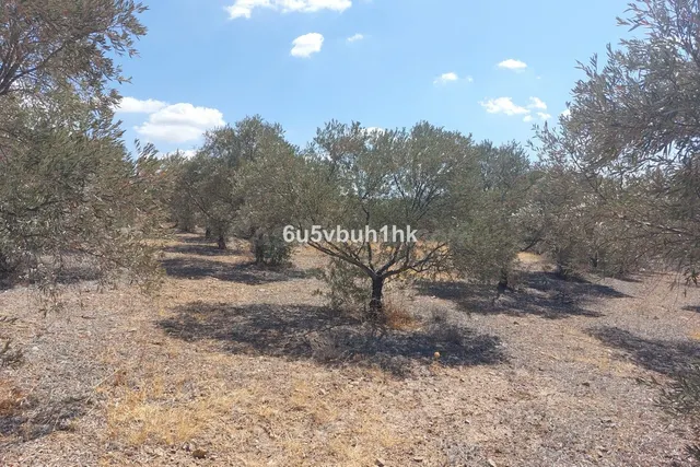 Parcela en venta - Alora pueblo