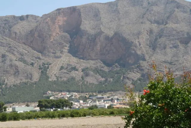 Parcela a las afueras de Orihuela — 12