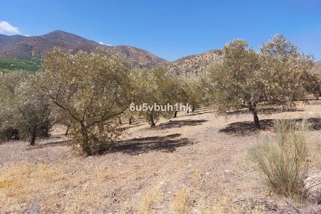 Parcela en venta - Alora pueblo — 11