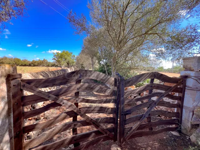 Venta de Terreno de 61,021 m2 con Licencia para construir en - foto 3