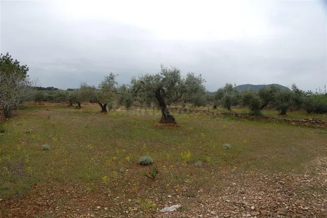 Finca rústica en venta - Afueras del pueblo — 3