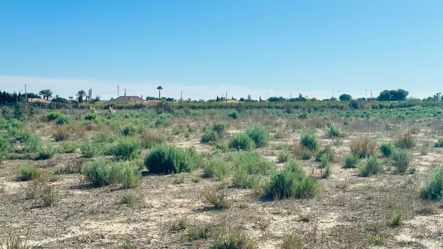 Terreno de 12.000 m2 en Perleta. — 19