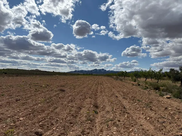 Terreno en pinoso