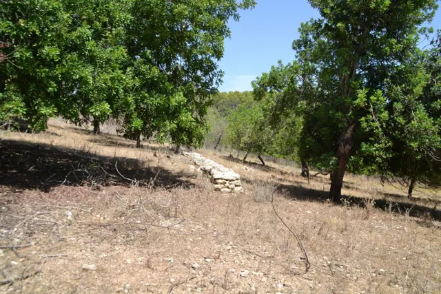 Finca rústica en Campanet — 4
