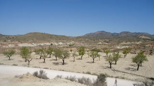 Parcela en venta - ABANILLA