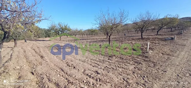 Terreno-parcela en Purias — 4