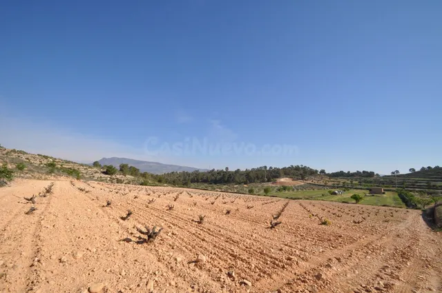 Parcela 400m² en venta - Jumilla - foto 2