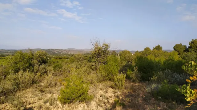 Se vende terreno de secano en Llíria. / HH Asesores, Inmobiliaria en Burjassot/ — 6