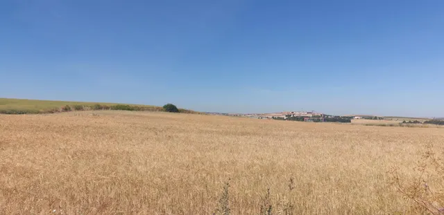 Urbis te ofrece un Terreno Agrario No Urbano en Salamanca, Zona PEÑISCAS, Salamanca — 8