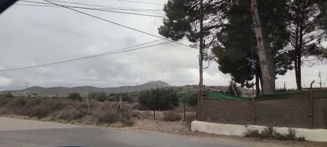 SE VENDEN 5 PARCELAS EN SAX DE 10.000 M2 - foto 5