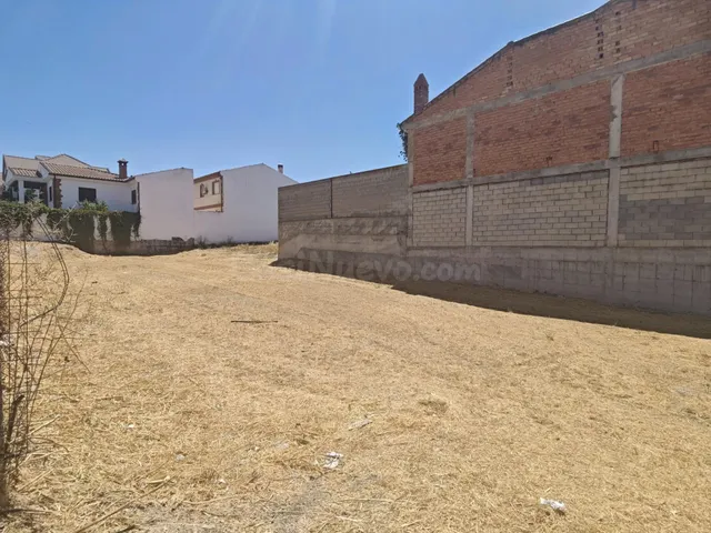 TERRENOS URBANOS EN LACHAR — 5