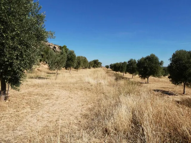 Suelo rústico en Venta en Maella Zaragoza — 32