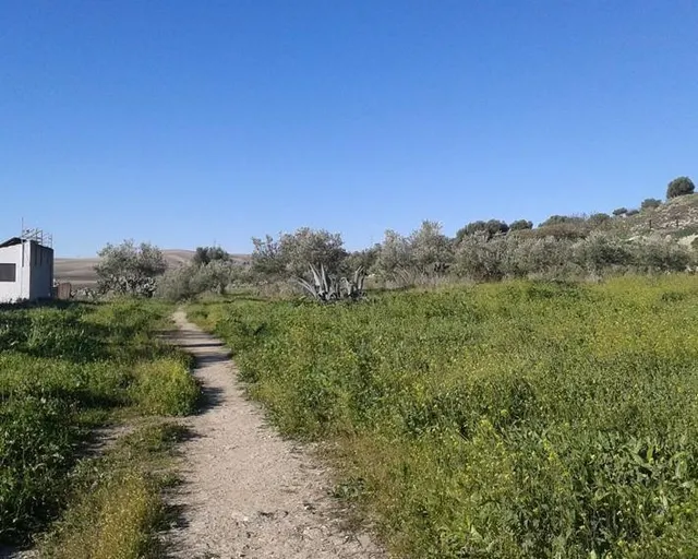 Suelo Urbanizable Sectorizado en Espera (Cádiz) - foto 4