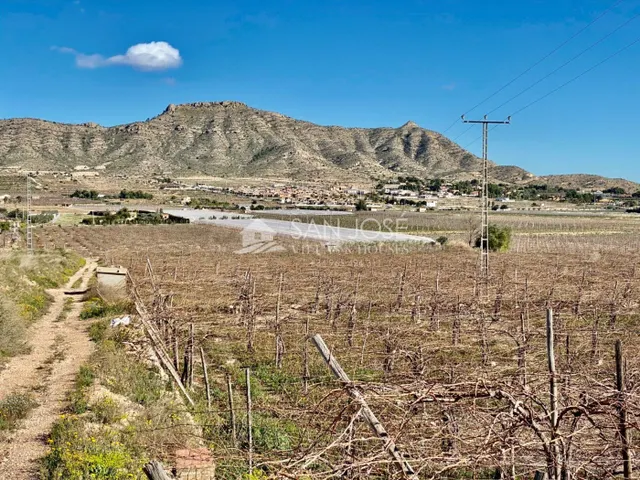 VENTA DE PARCELA DE 11040 M2 EN ASPE EN BUENA ZONA PARA CONS - foto 2